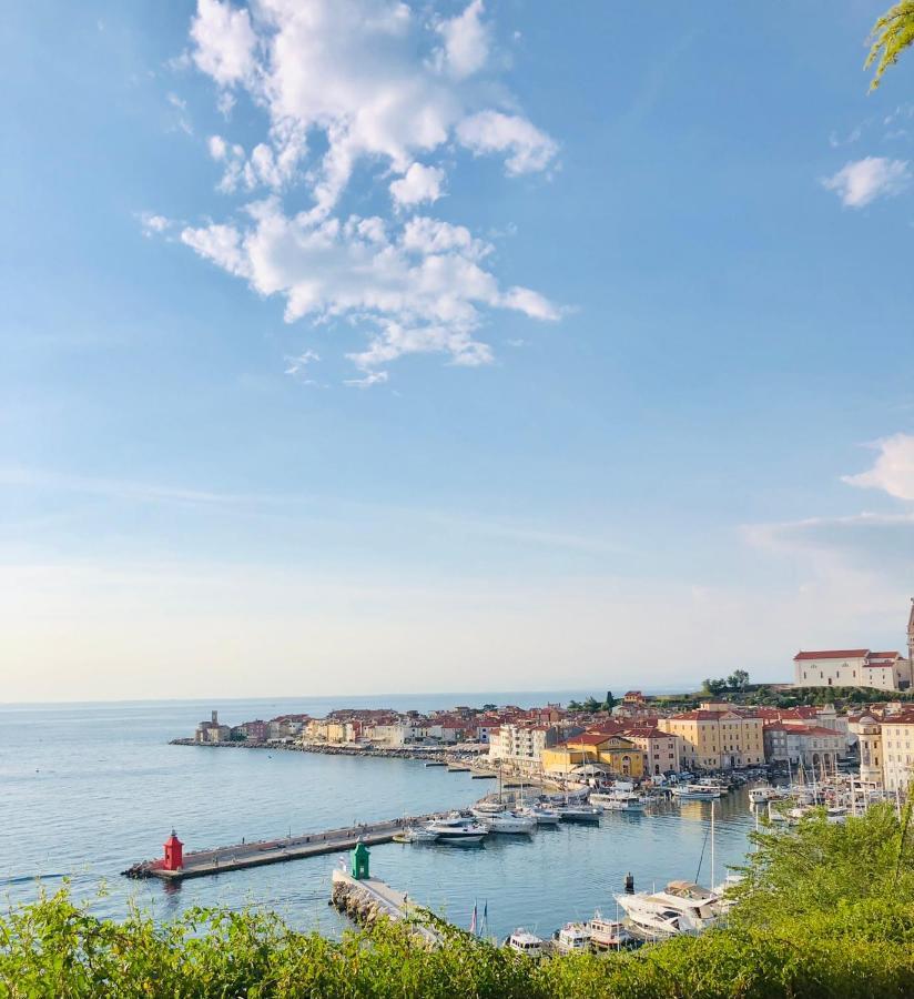 Mozgan Piran